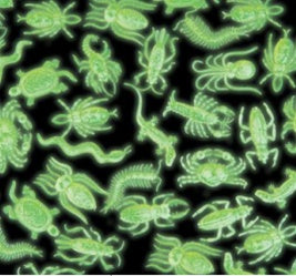 144 Glow In The Dark Insects Great Glow Wholesale Price - Wholesale Vending Products