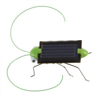 Solar Powered Grasshopper - Wholesale Vending Products